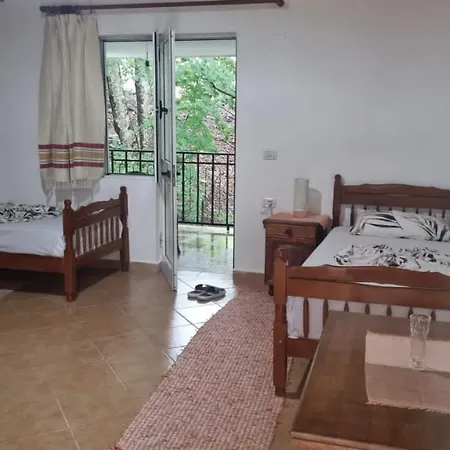 Bujtina Te Grima Hotell *