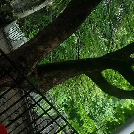 מלון Bujtina Te Grima *